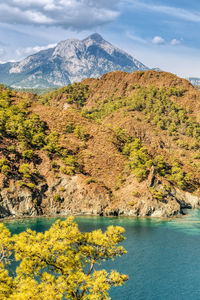 Scenic view of trees and mountains against sky