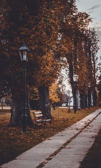 Street amidst trees during autumn