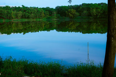 Scenic view of lake and trees