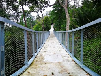 Footbridge over footpath amidst trees