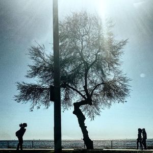 Silhouette man by tree against sky