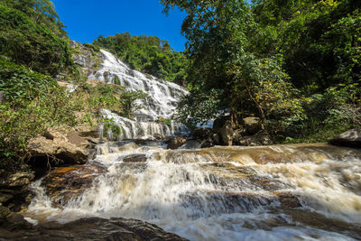 Scenic view of waterfall in forest