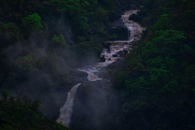 Scenic view of waterfall in forest