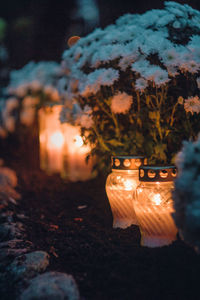 Close-up of illuminated lantern on tree at night