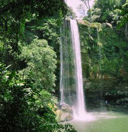 Waterfall in rainforest