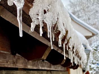 Close-up of icicles hanging on wood in winter