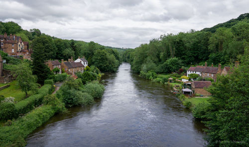 Scenic view of river amidst trees against sky