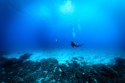 Man scuba diving in sea