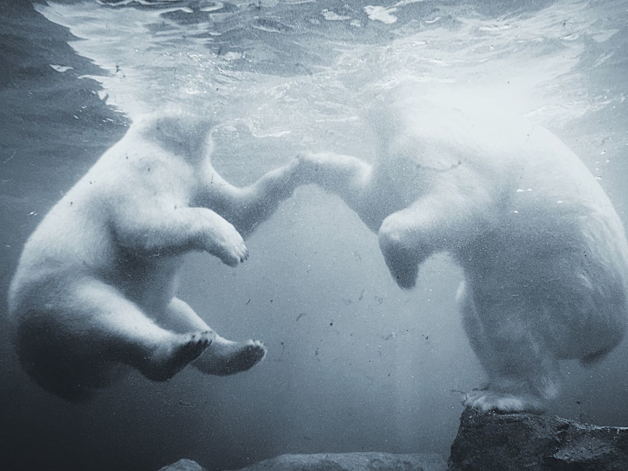 water, leisure activity, lifestyles, high angle view, sea, men, shirtless, enjoyment, swimming, vacations, boys, fun, togetherness, wet, motion, full length, reflection