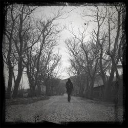 People walking on road