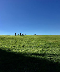 People on field against clear sky