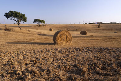 Hay bales on field against clear sky