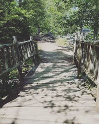 Footpath amidst trees