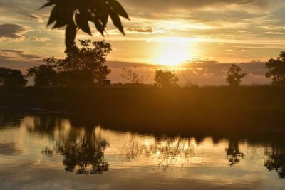 Reflection of trees in calm lake at sunset