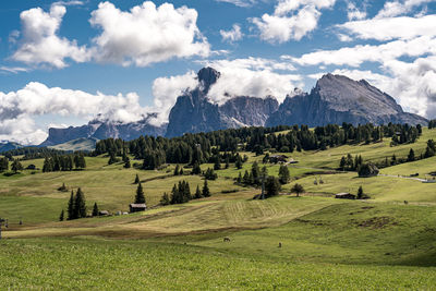 Scenic view of landscape against sky