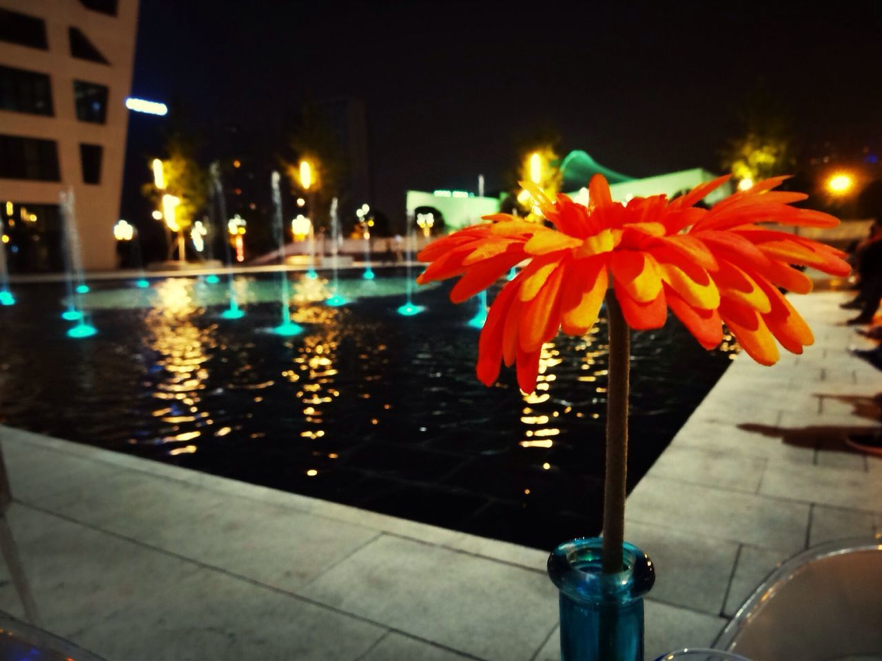 illuminated, night, building exterior, city, architecture, built structure, street light, lighting equipment, water, reflection, red, outdoors, street, flower, city life, light - natural phenomenon, decoration, celebration, multi colored, incidental people