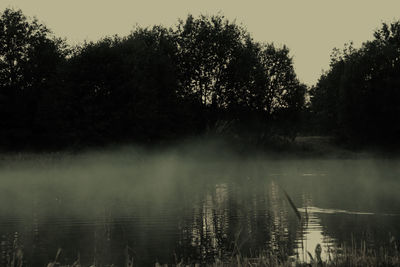 View of swan swimming in lake