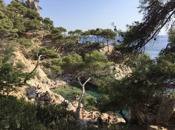 Scenic view of trees and rocks against sky