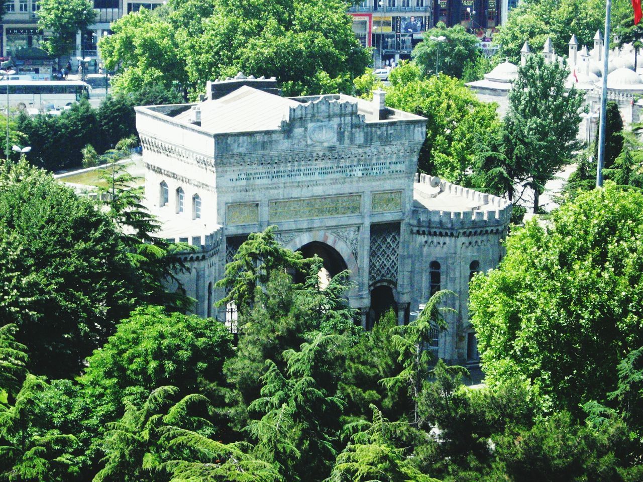 architecture, building exterior, built structure, tree, city, green color, growth, building, residential building, incidental people, travel destinations, plant, day, high angle view, outdoors, residential structure, history, city life, travel, lush foliage