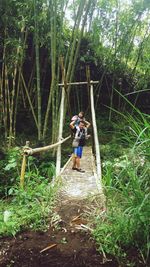 Man standing by plants in forest