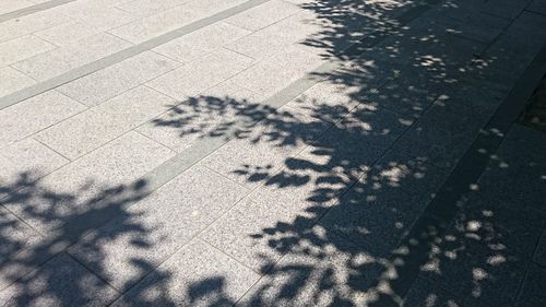 High angle view of shadow on ground