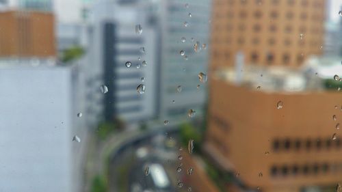 Raindrops on glass window against buildings in city