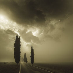 Road amidst trees on field against sky