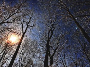 Low angle view of bare trees against sky