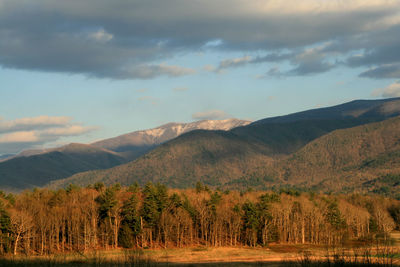 Scenic view of trees and mountains against cloudy sky on sunny day