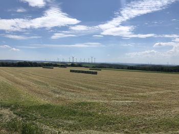 Scenic view of agricultural field against sky