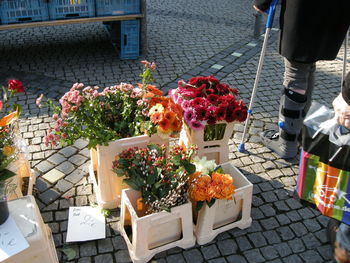 High angle view of flowers in container on street at market for sale