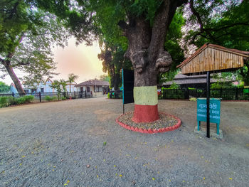 Footpath by trees in park