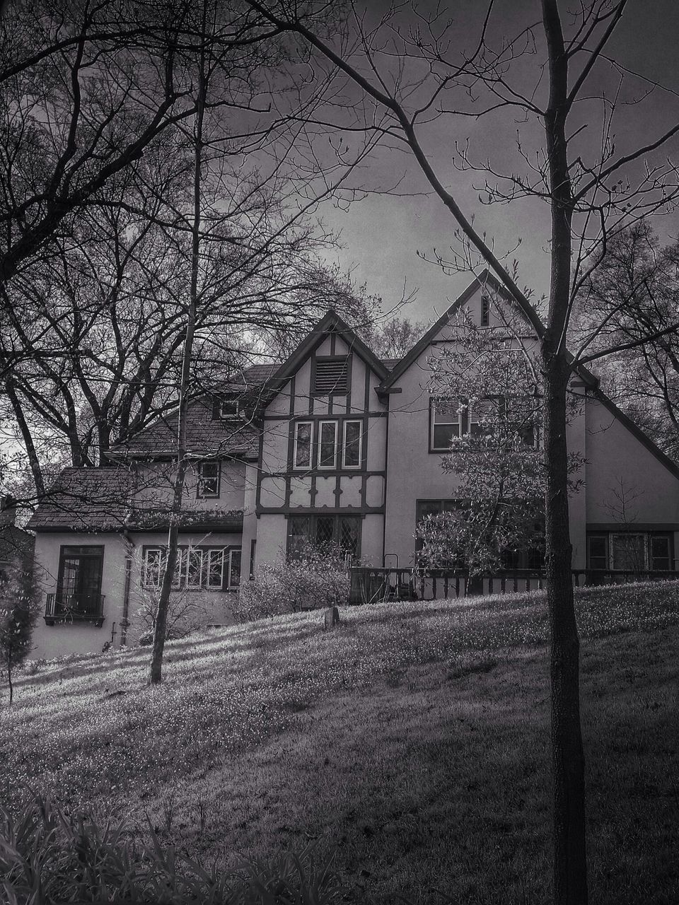 architecture, building exterior, built structure, tree, bare tree, house, branch, sky, residential structure, growth, grass, residential building, nature, field, day, no people, outdoors, window, clear sky, sunlight