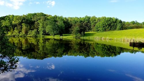 Scenic view of lake and trees against sky