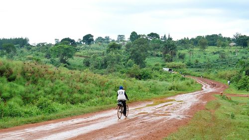 Rear view of man riding bicycle on road