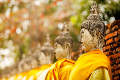 Buddha statues against trees