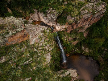 High angle view of stream flowing through rocks in forest