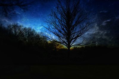 Silhouette of bare trees against sky at night