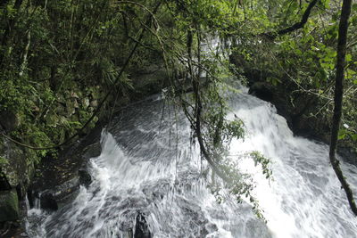 Scenic view of waterfall in forest