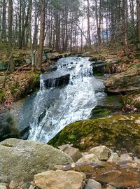 Stream flowing through rocks in forest