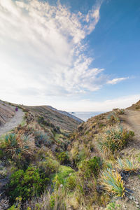 Scenic view of landscape against sky