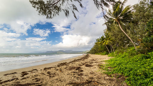 Scenic view of beach against sky