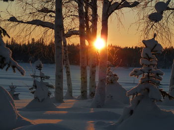 Bare trees on snow covered landscape during sunset