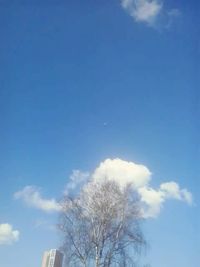 Low angle view of built structure against blue sky