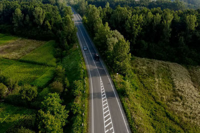 High angle view of road amidst trees