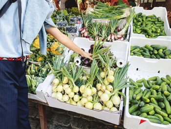 Hand of the woman picking up fresh green onion at the local farmers market in copenhagen denmark