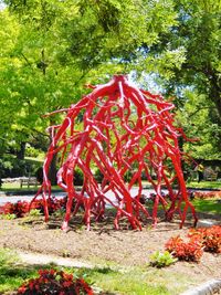 Red flowers in park