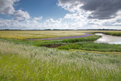 Scenic view of field against sky