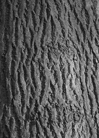 Full frame shot of textured surface