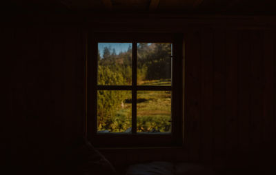 Trees seen through window of house